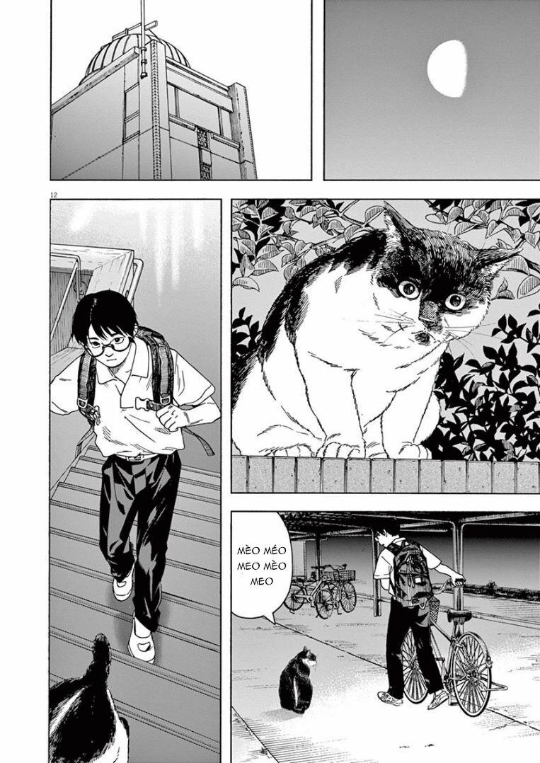 Câu Lạc Bộ Những Kẻ Mất Ngủ 30 trang 12