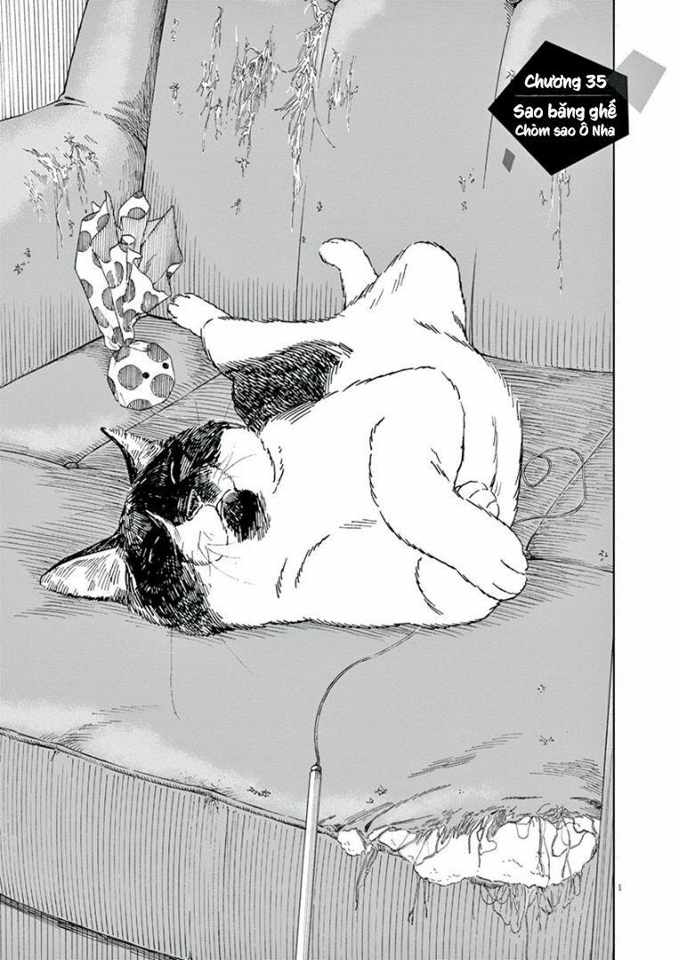 Câu Lạc Bộ Những Kẻ Mất Ngủ 35 trang 1