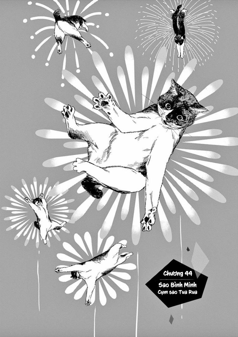 Câu Lạc Bộ Những Kẻ Mất Ngủ 44 trang 1