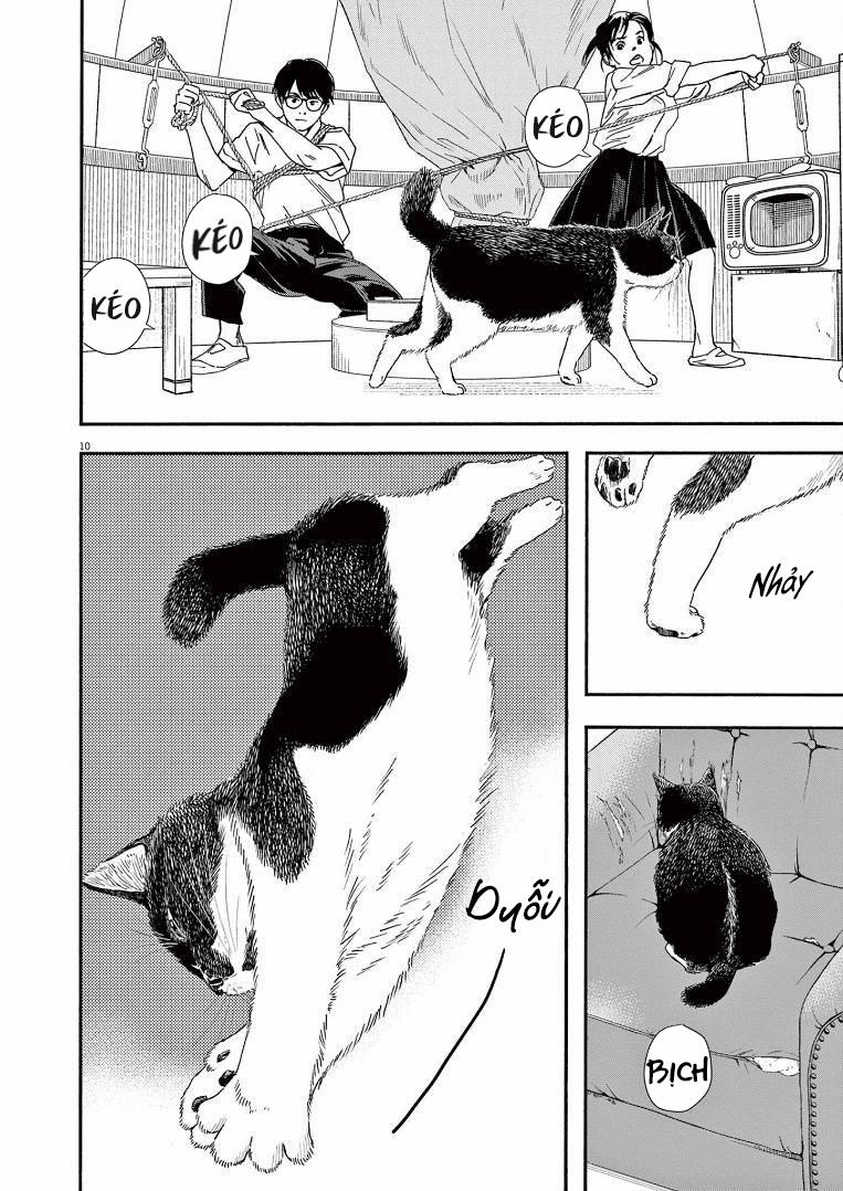 Câu Lạc Bộ Những Kẻ Mất Ngủ 72 trang 10