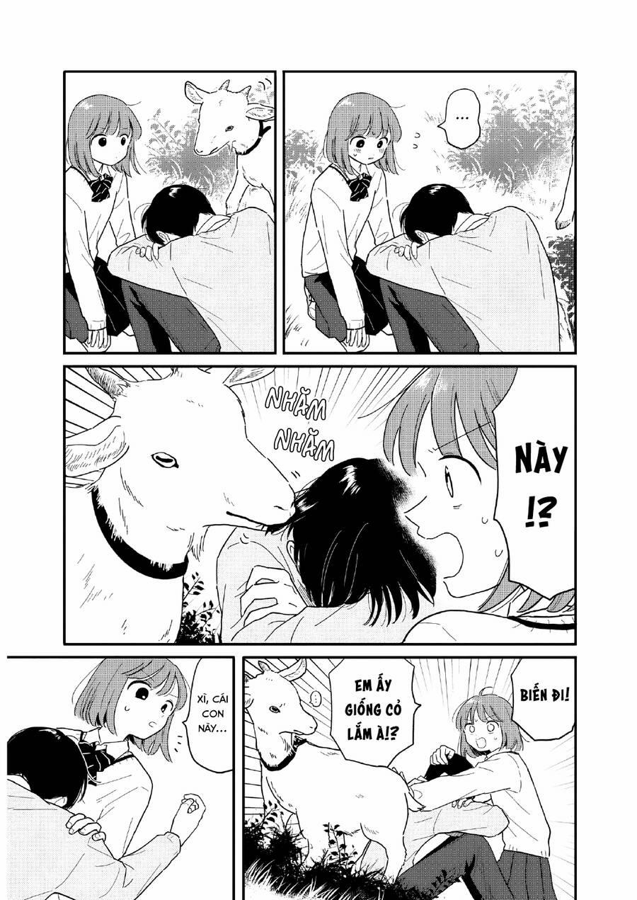 Câu Lạc Bộ Siêu Cấp Về Nhà 17 trang 17