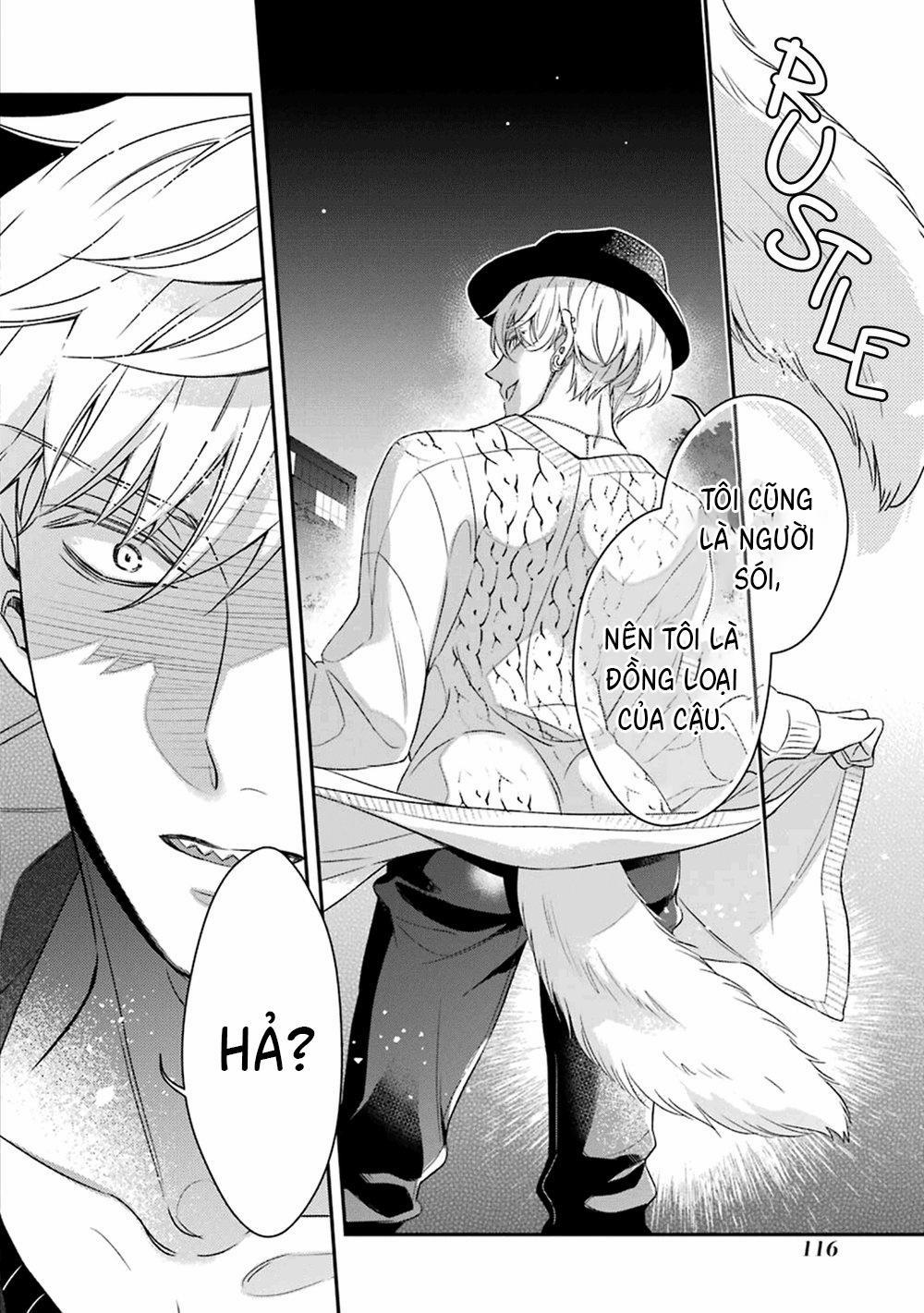 Cậu Người Sói Này Muốn Ăn Thịt Chàng Thám Tử Ưa Thích Của Mình 3 trang 24