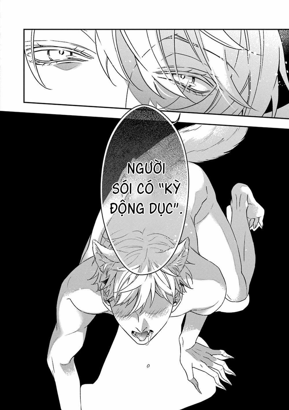 Cậu Người Sói Này Muốn Ăn Thịt Chàng Thám Tử Ưa Thích Của Mình 3 trang 30