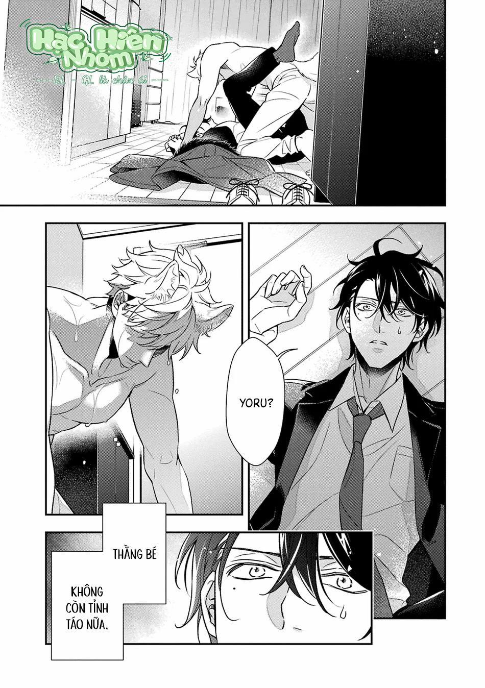 Cậu Người Sói Này Muốn Ăn Thịt Chàng Thám Tử Ưa Thích Của Mình 8 Hachiennhom trang 1