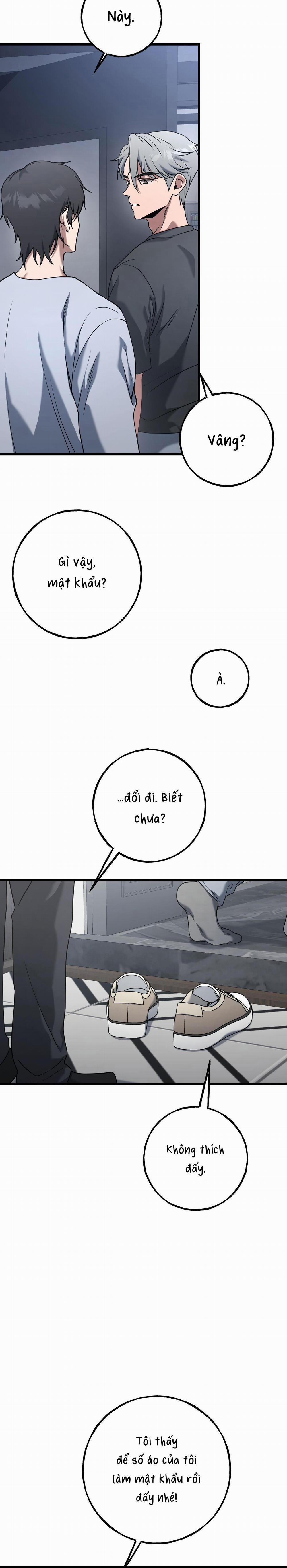 Cầu Thủ Bóng Chày Hư Hỏng 5 trang 13