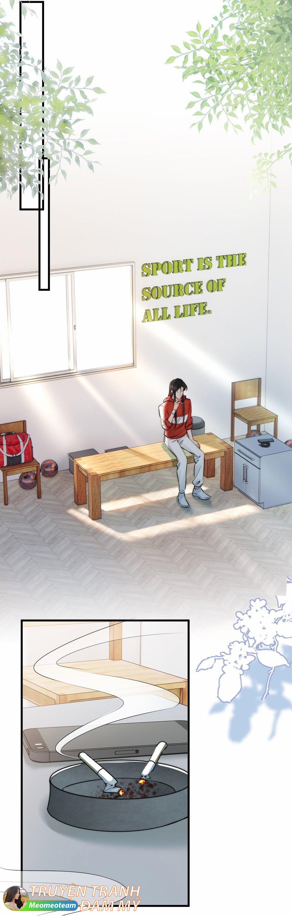 Cầu Vòng Hổ Phách 11 trang 4