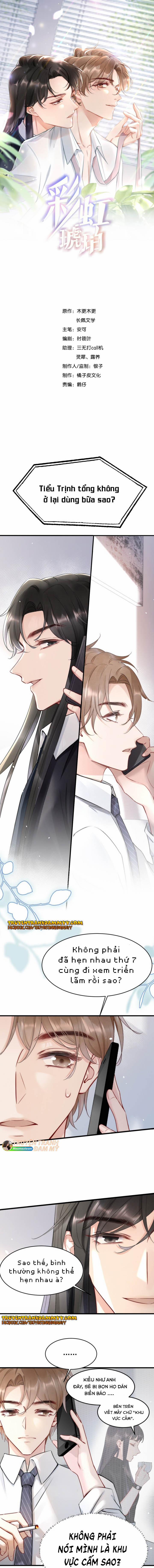 Cầu Vòng Hổ Phách 12 trang 0