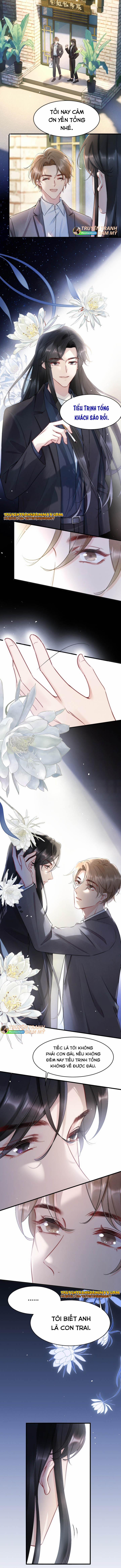 Cầu Vòng Hổ Phách 12 trang 4