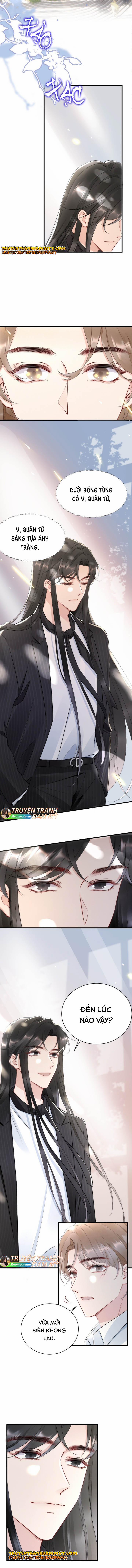 Cầu Vòng Hổ Phách 13 trang 1