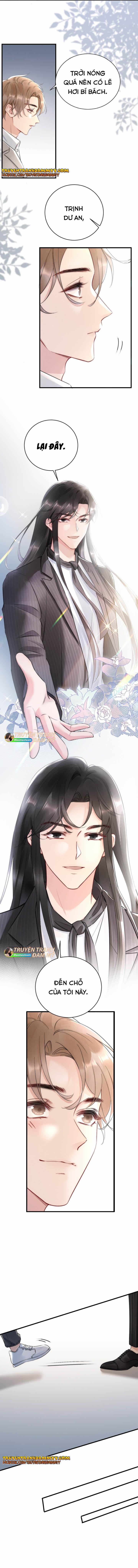 Cầu Vòng Hổ Phách 13 trang 3