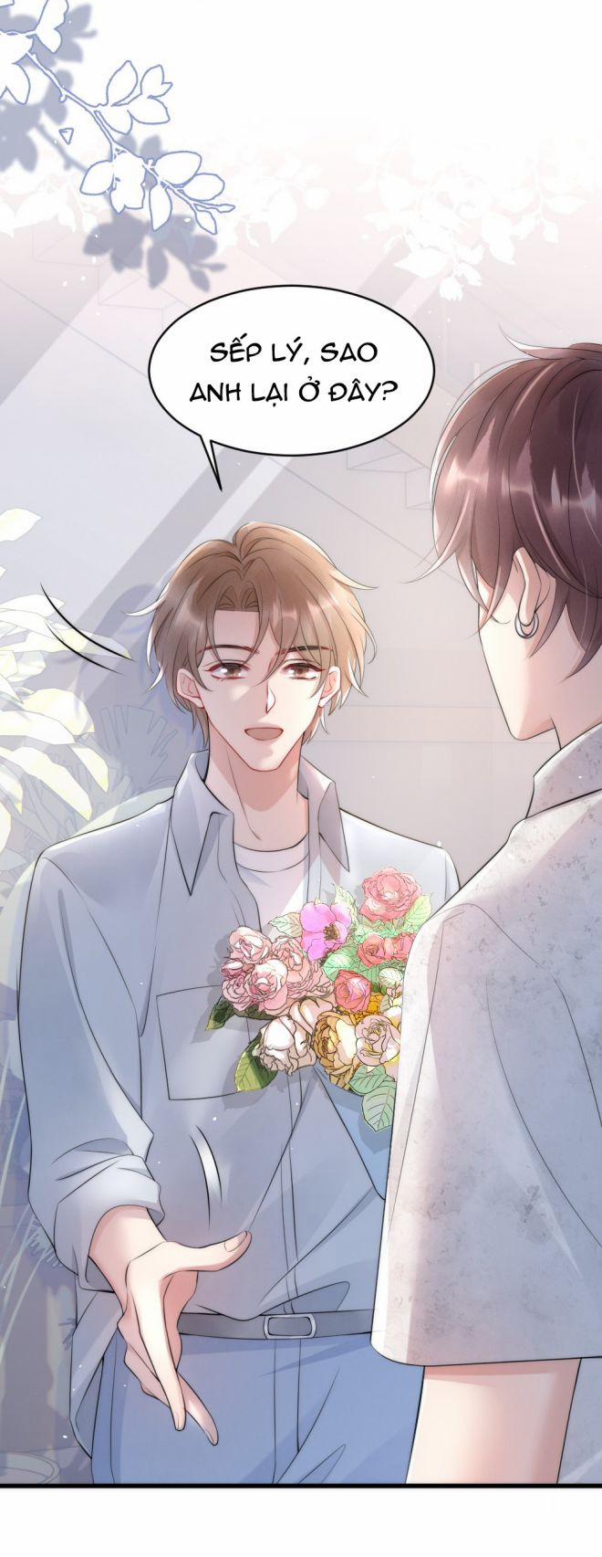 Cầu Vòng Hổ Phách 15 trang 4