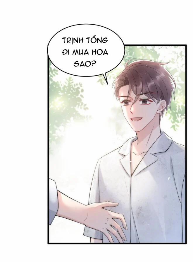 Cầu Vòng Hổ Phách 15 trang 5