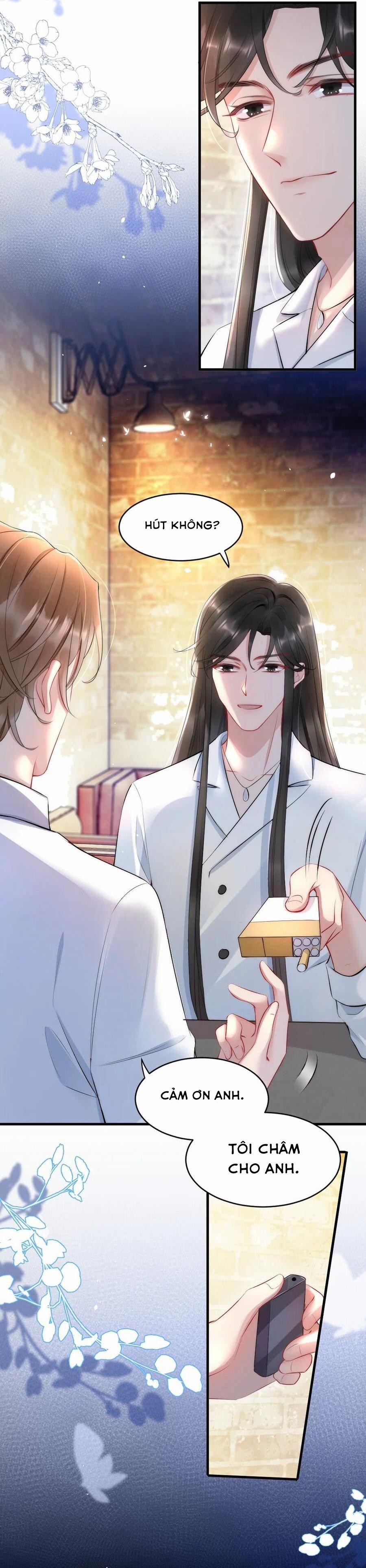 Cầu Vòng Hổ Phách 17 trang 5