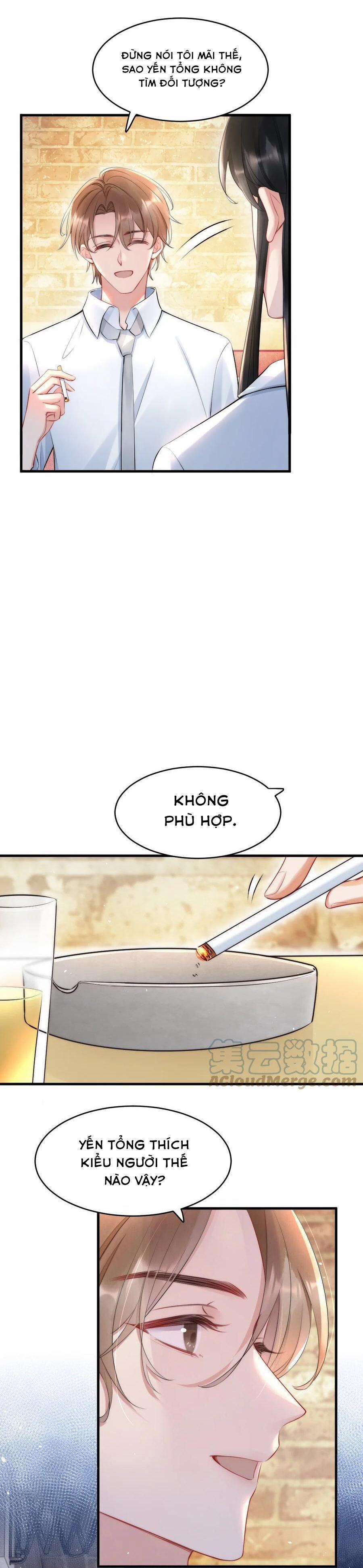 Cầu Vòng Hổ Phách 17 trang 7