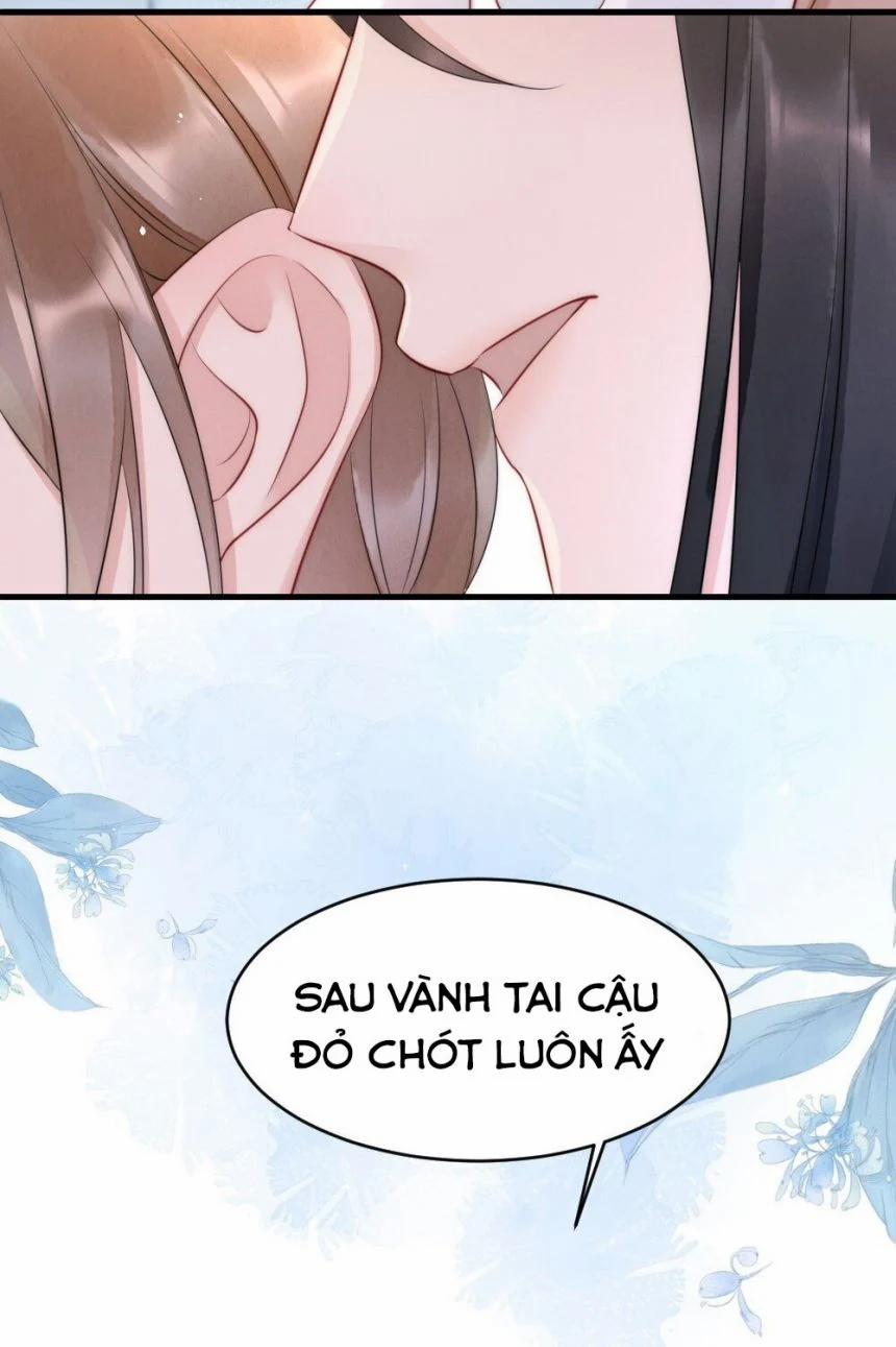 Cầu Vòng Hổ Phách 19 trang 36