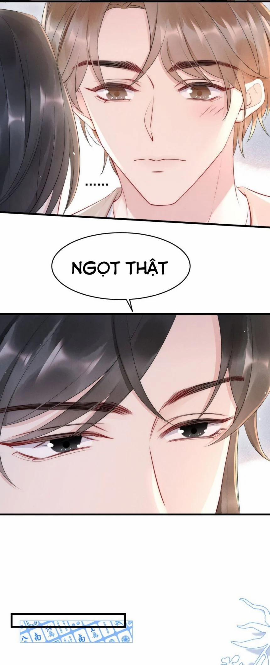 Cầu Vòng Hổ Phách 19 trang 6