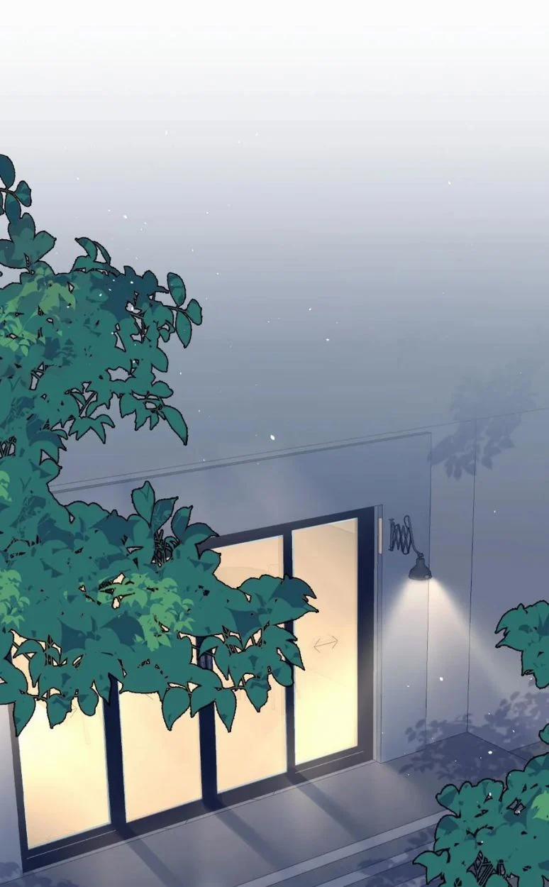 Cầu Vòng Hổ Phách 20 trang 2