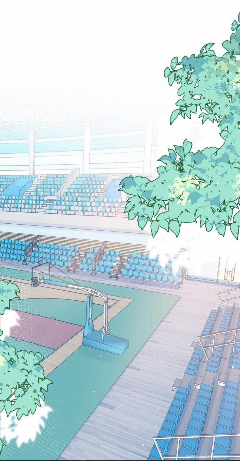 Cầu Vòng Hổ Phách 21 trang 2