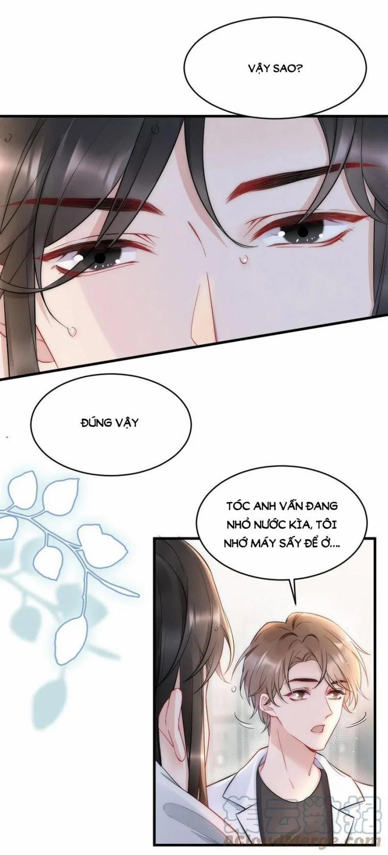 Cầu Vòng Hổ Phách 21 trang 33