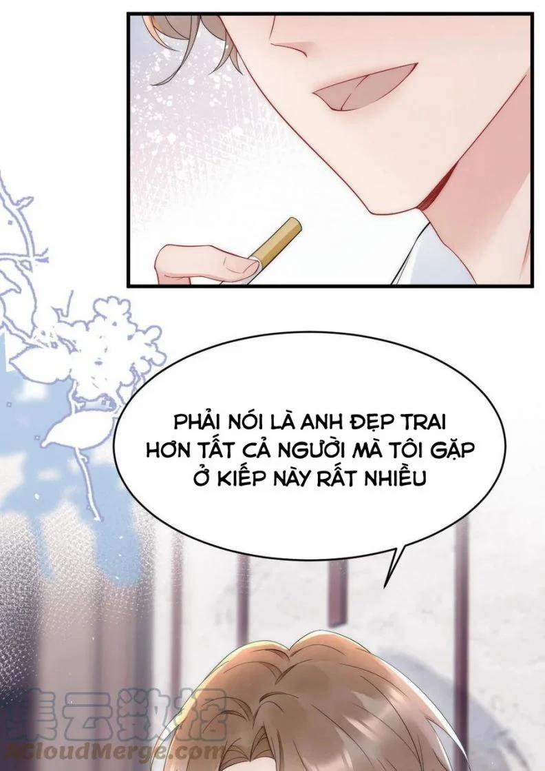 Cầu Vòng Hổ Phách 22 trang 33