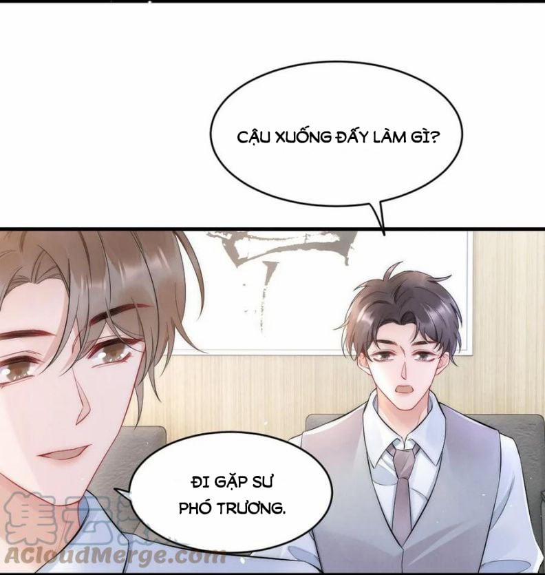 Cầu Vòng Hổ Phách 23 trang 4