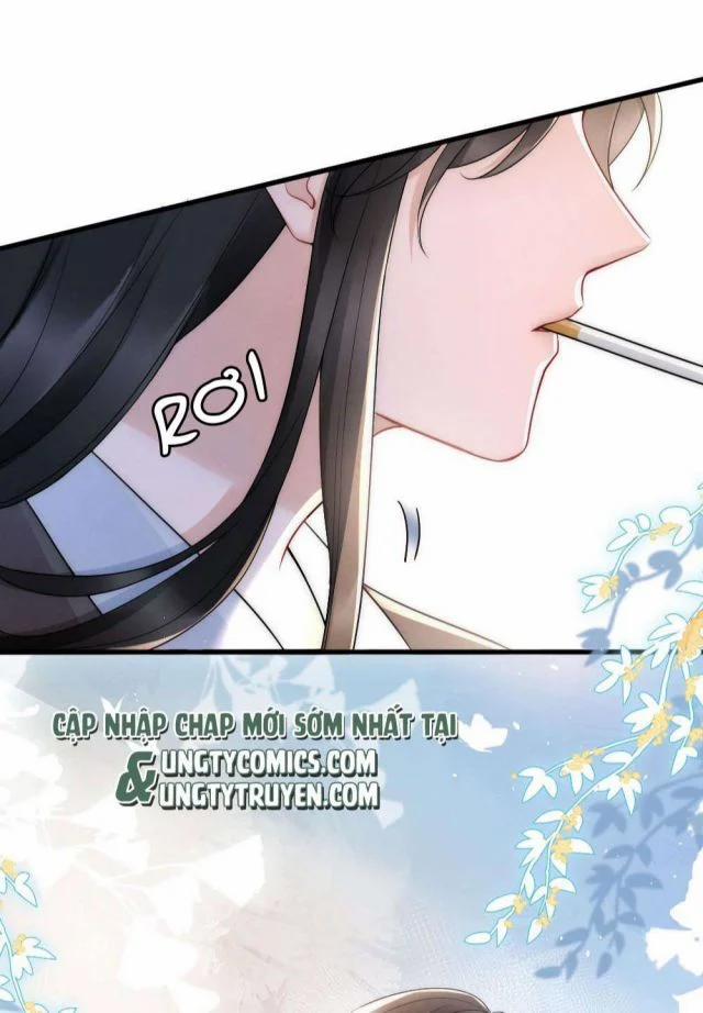 Cầu Vòng Hổ Phách 25 trang 8