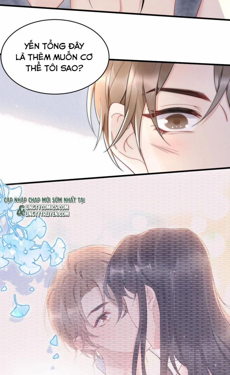 Cầu Vòng Hổ Phách 27 trang 13