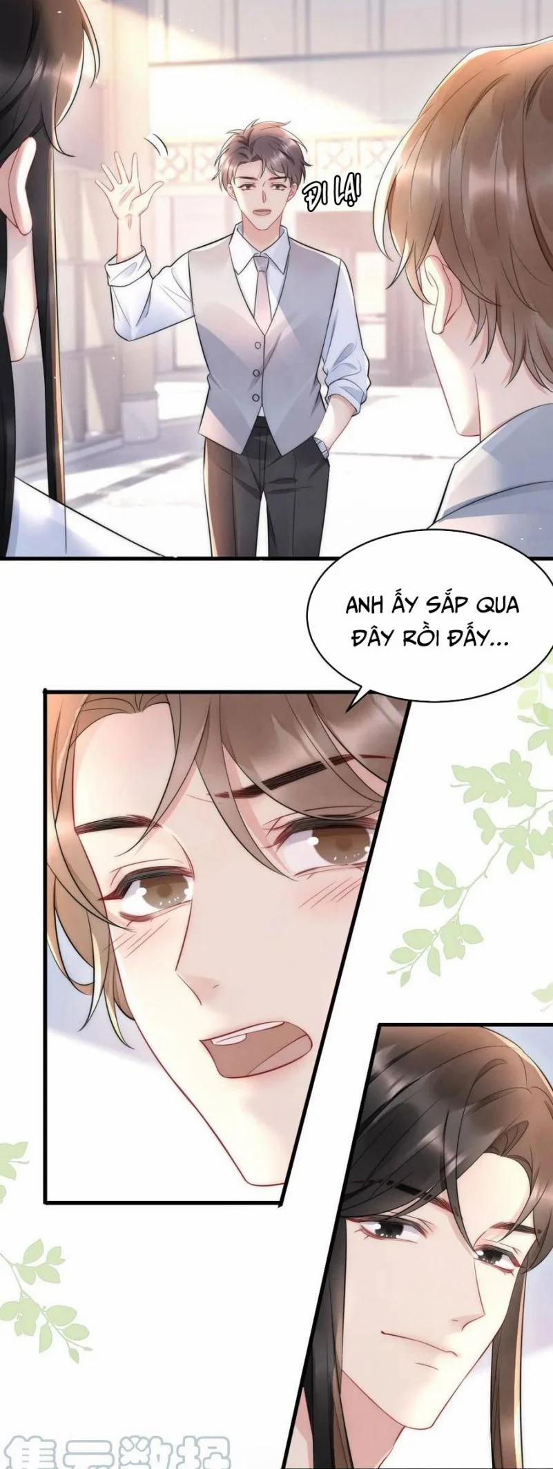 Cầu Vòng Hổ Phách 28 trang 15