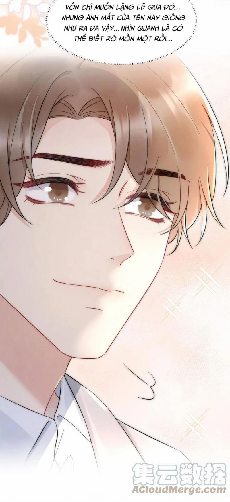 Cầu Vòng Hổ Phách 28 trang 4