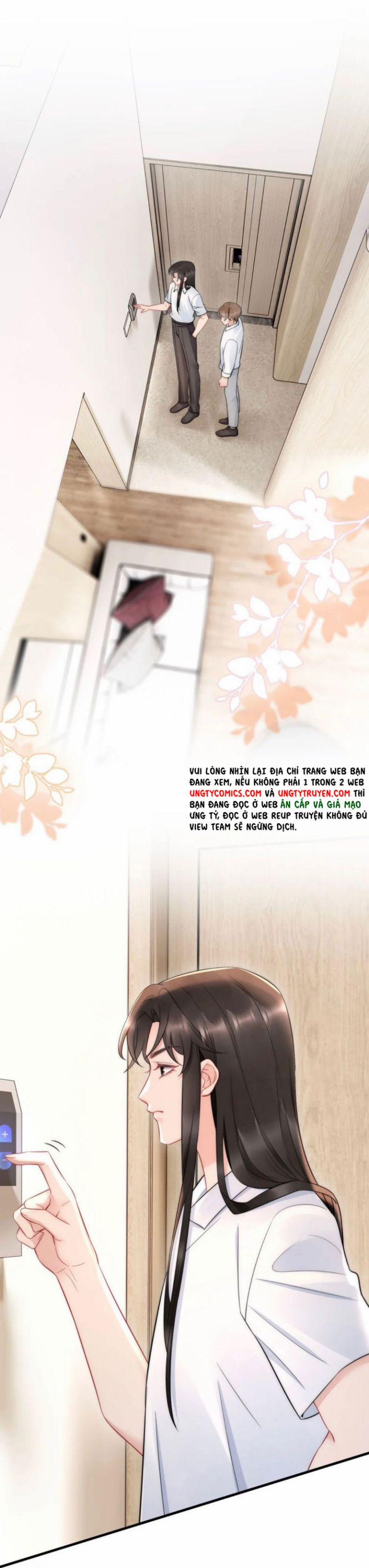 Cầu Vòng Hổ Phách 29 trang 1