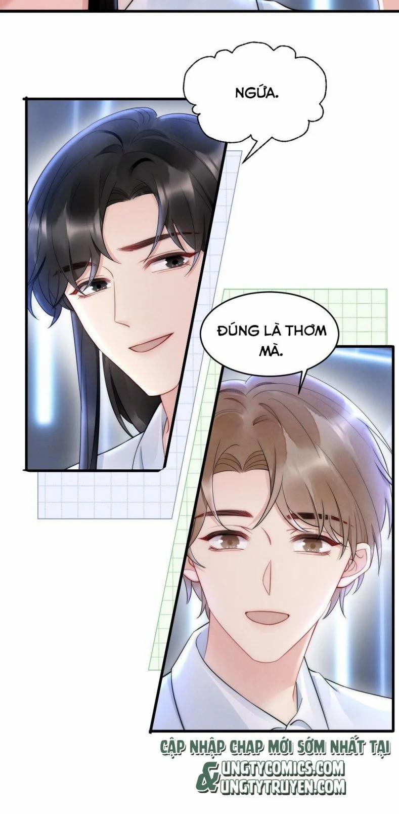 Cầu Vòng Hổ Phách 30 trang 28