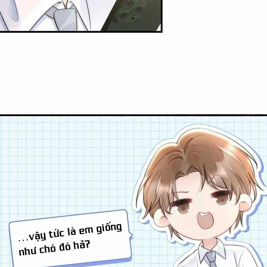 Cầu Vòng Hổ Phách 31 trang 27