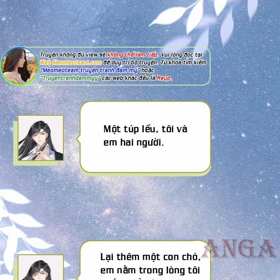 Cầu Vòng Hổ Phách 31 trang 33