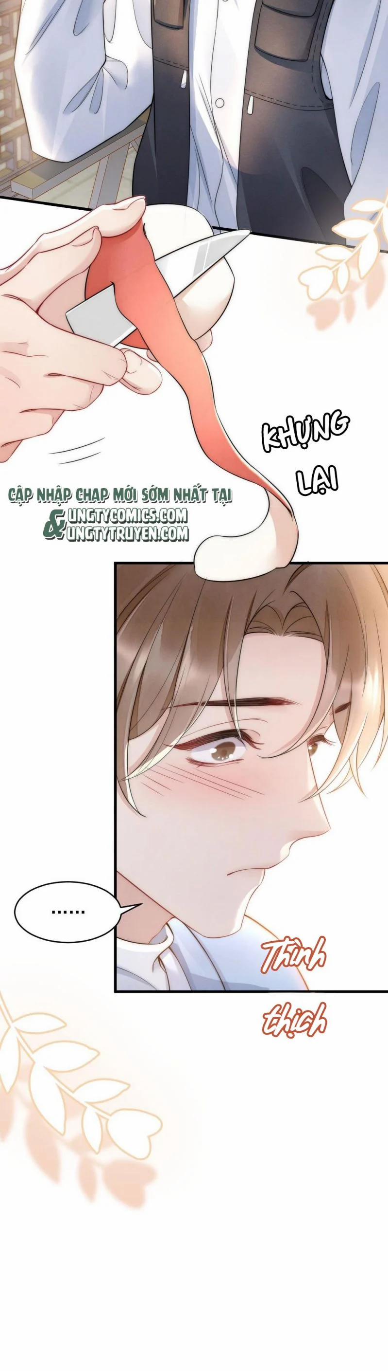 Cầu Vòng Hổ Phách 32 trang 25