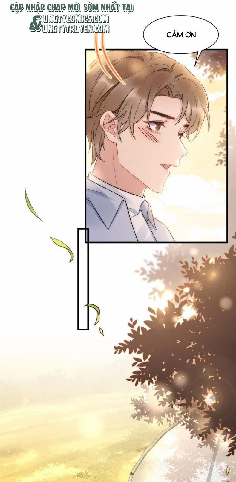 Cầu Vòng Hổ Phách 33 trang 41