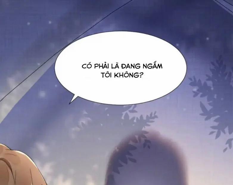 Cầu Vòng Hổ Phách 34 trang 15