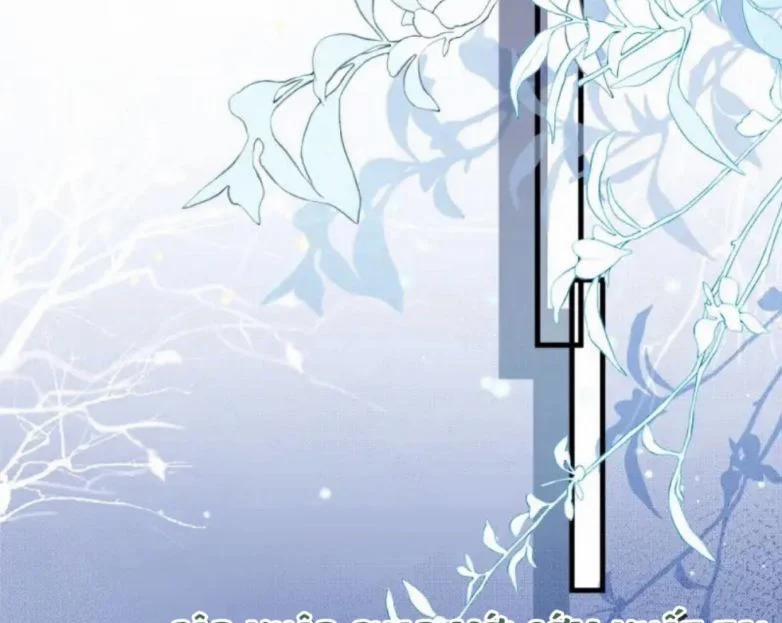 Cầu Vòng Hổ Phách 34 trang 25