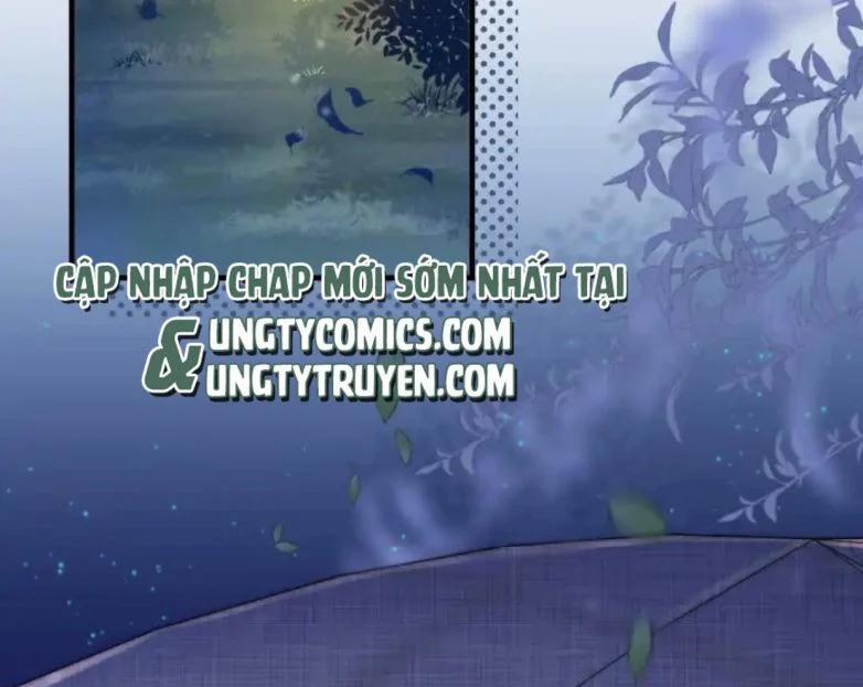 Cầu Vòng Hổ Phách 34 trang 5