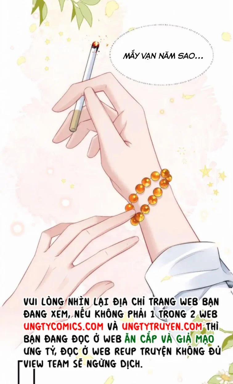 Cầu Vòng Hổ Phách 36 trang 31