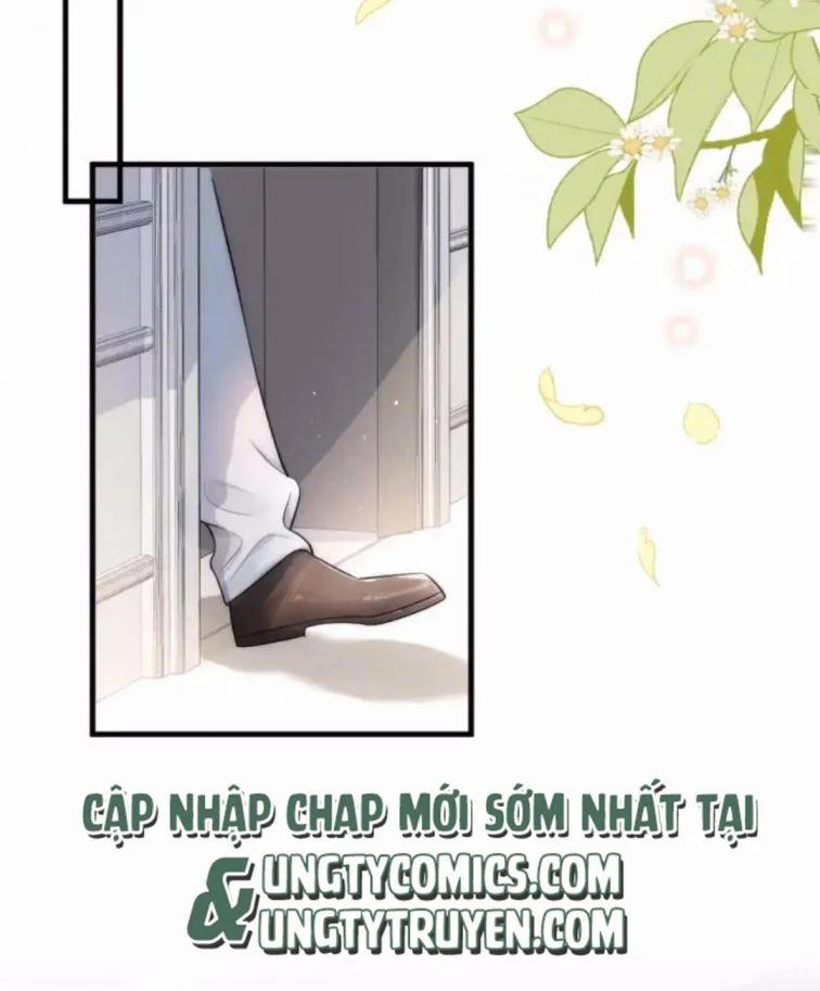 Cầu Vòng Hổ Phách 36 trang 32