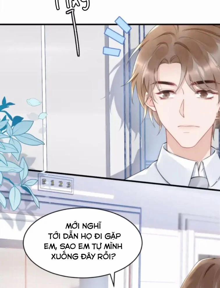 Cầu Vòng Hổ Phách 36 trang 36