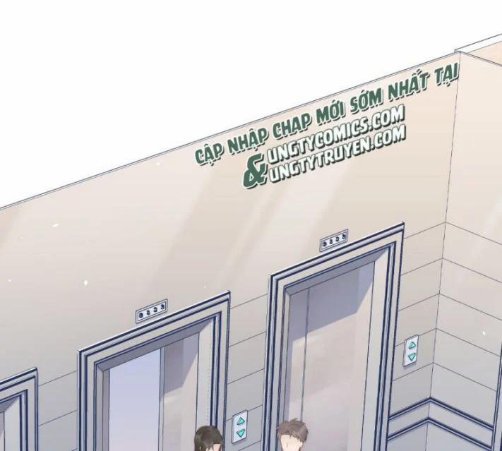 Cầu Vòng Hổ Phách 37 trang 2