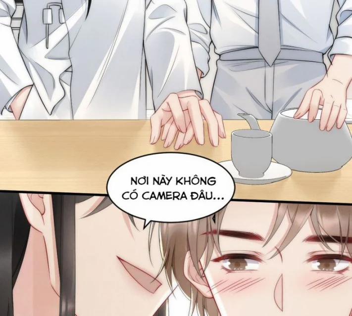 Cầu Vòng Hổ Phách 37 trang 42