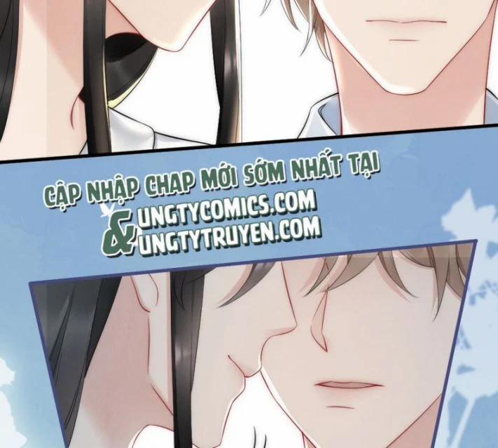 Cầu Vòng Hổ Phách 37 trang 43