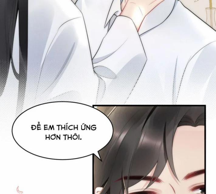 Cầu Vòng Hổ Phách 37 trang 47