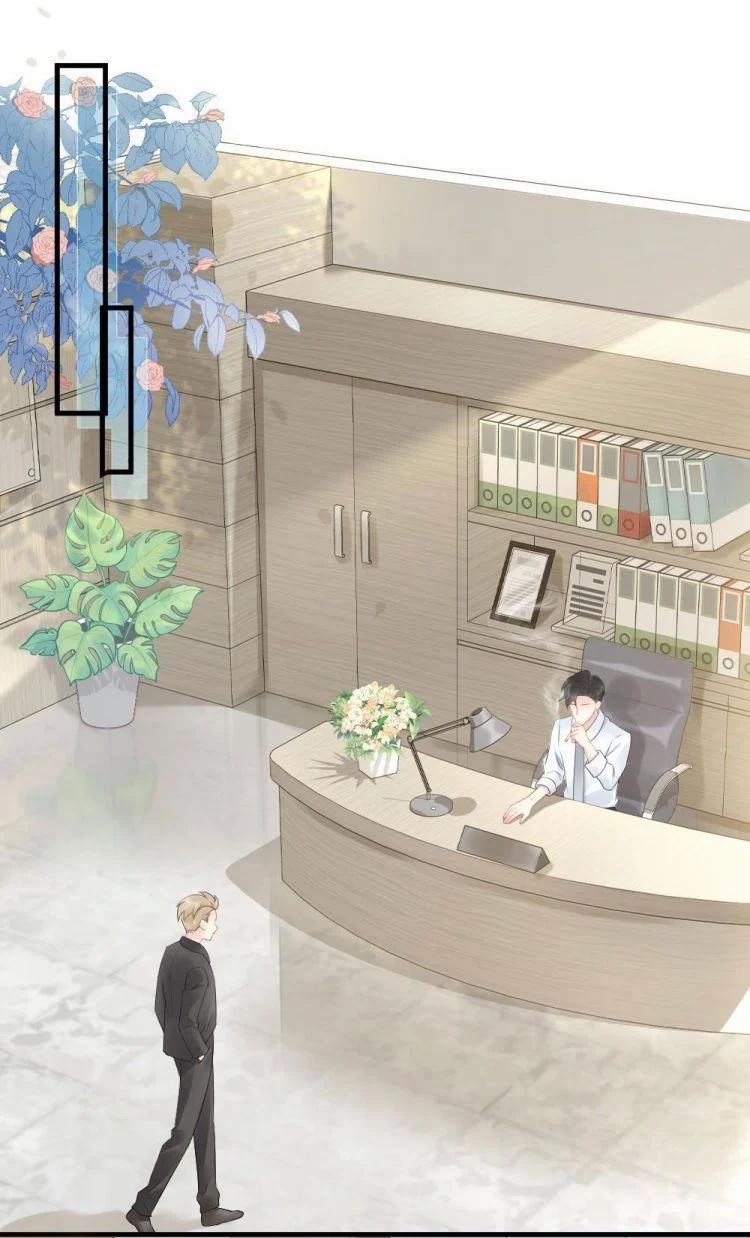 Cầu Vòng Hổ Phách 39 trang 2