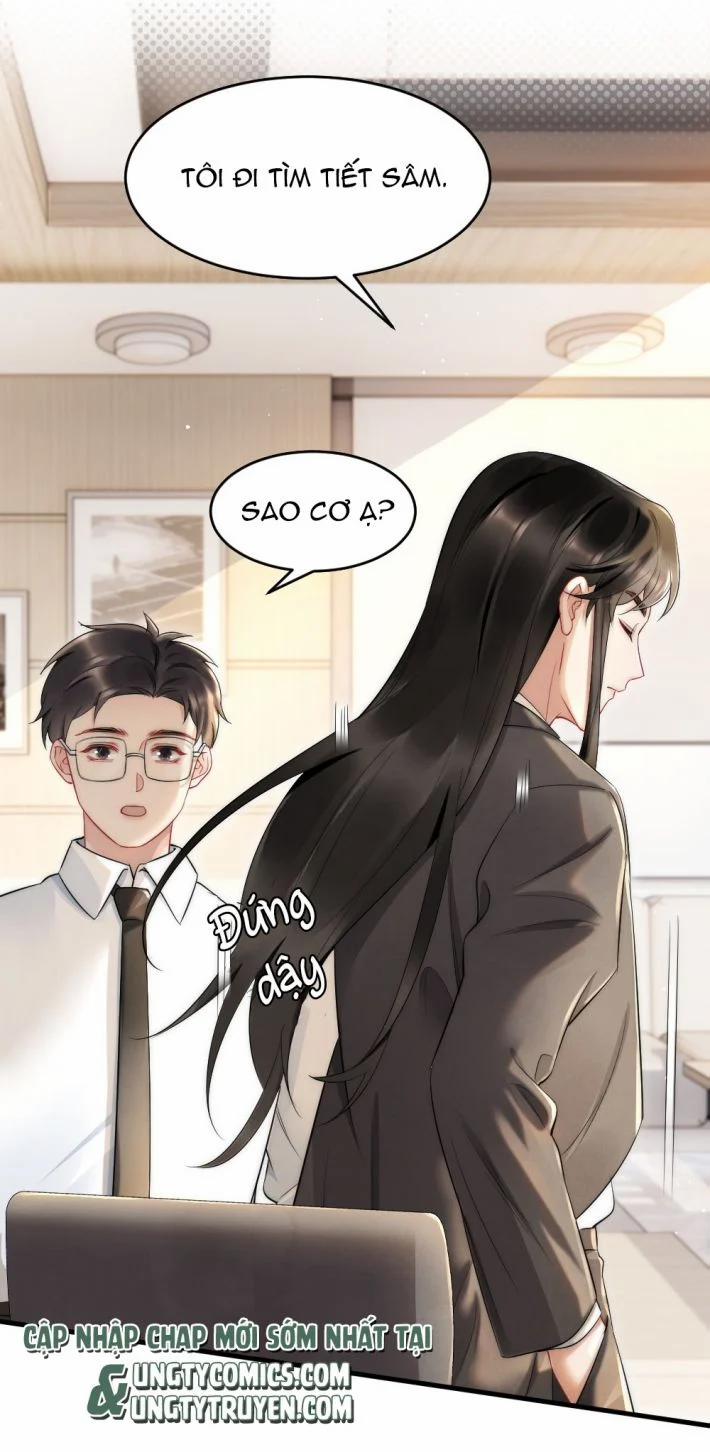 Cầu Vòng Hổ Phách 40 trang 6