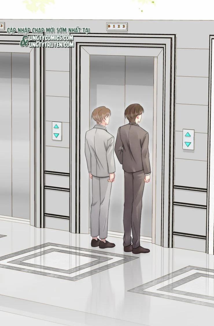 Cầu Vòng Hổ Phách 41 trang 29