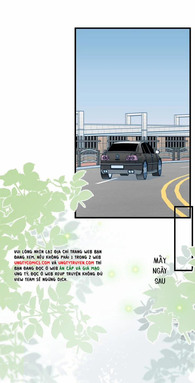 Cầu Vòng Hổ Phách 41 trang 52