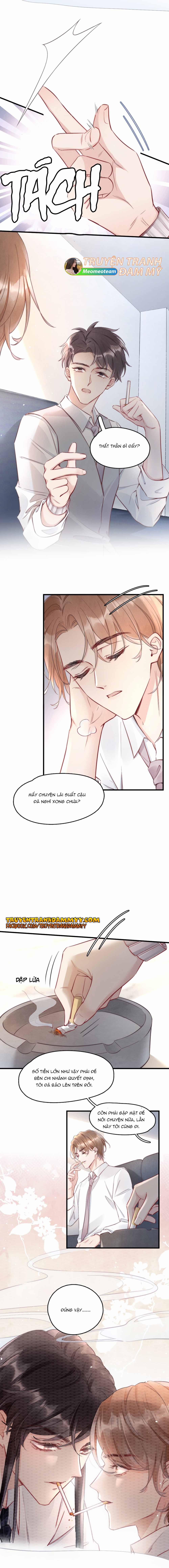 Cầu Vòng Hổ Phách 5 trang 1